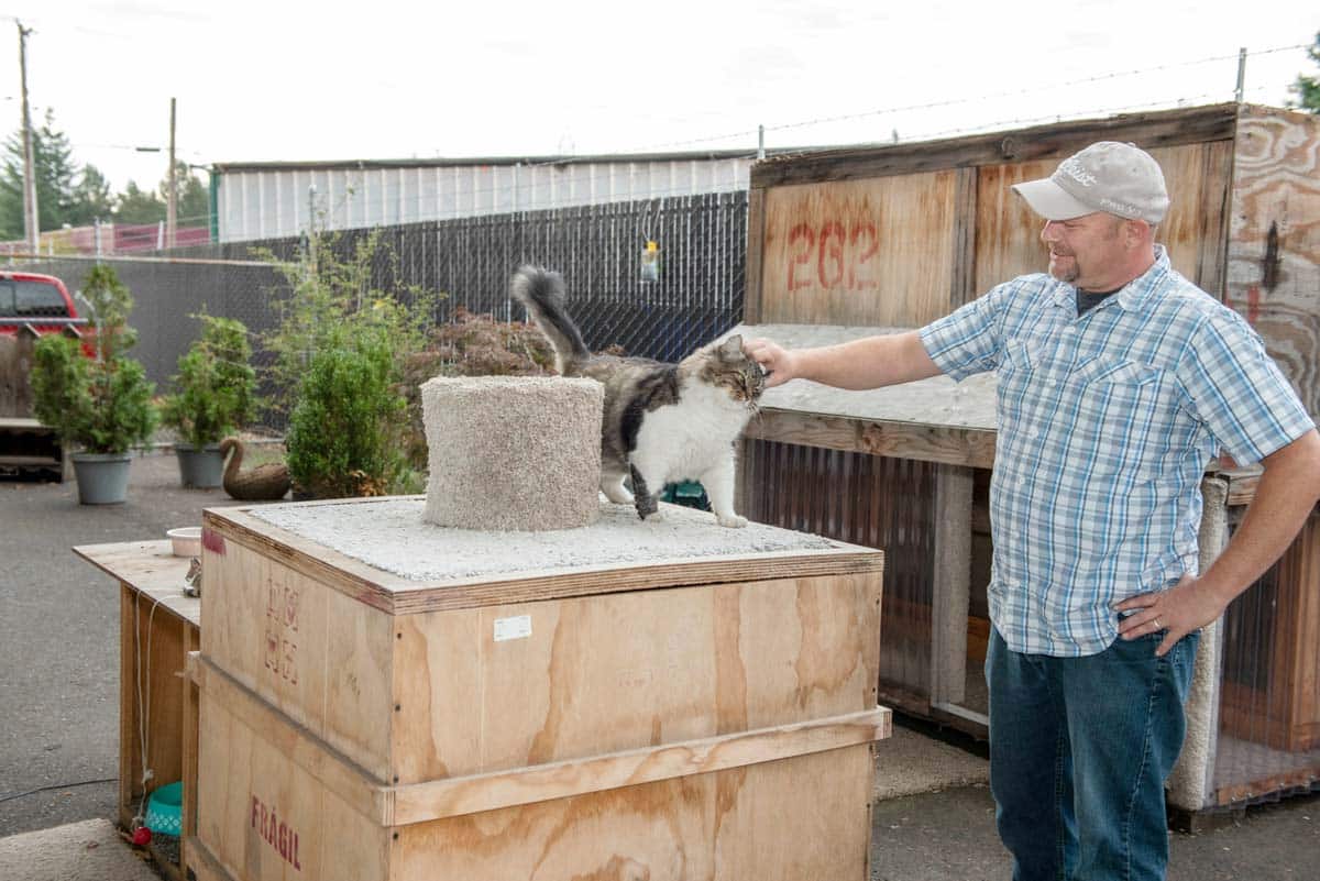 Cat sanctuary at Priestley and Sons moving and storage in Portland Oregon